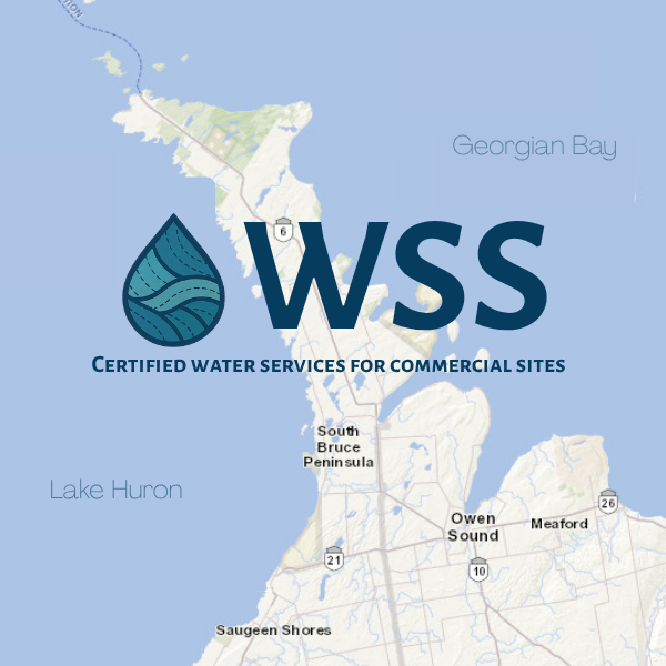 WSS